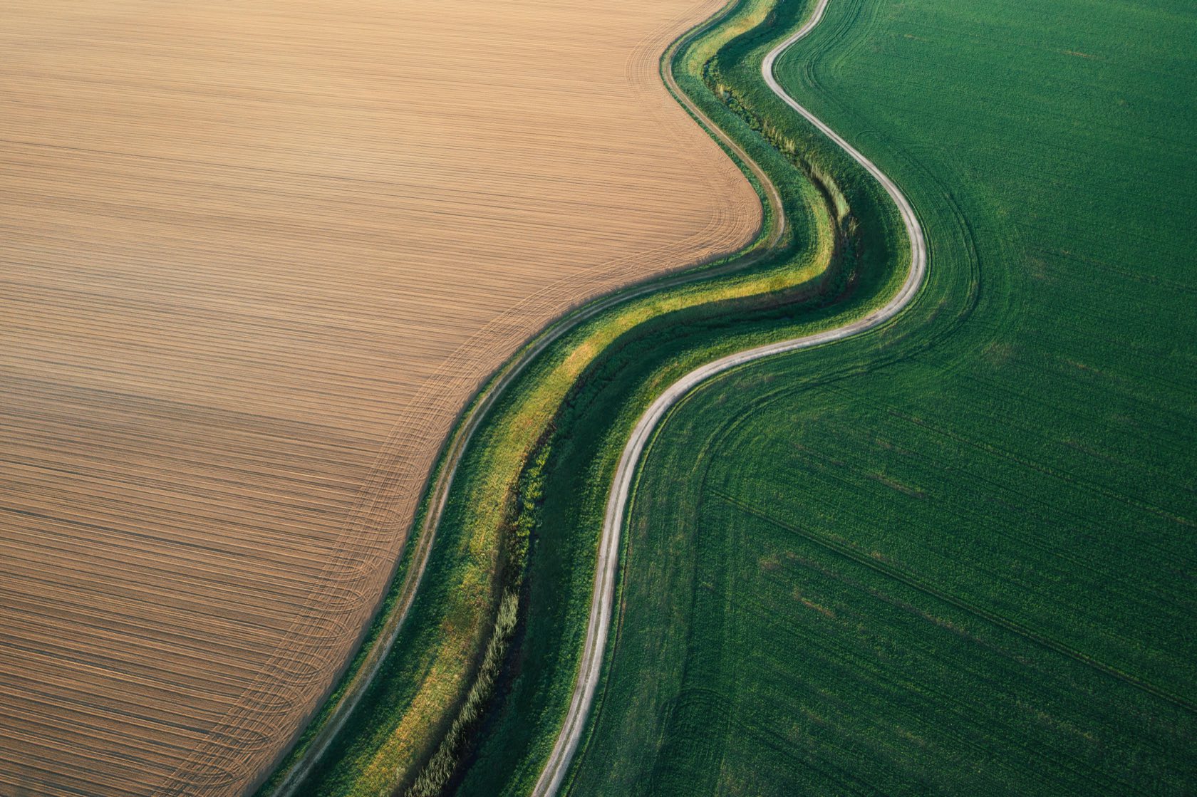 Aerial survey photograph: a pale ploughed field and a deep green crop divided by a road tracing an S-curve